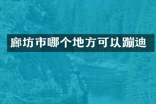 廊坊市哪个地方可以蹦迪