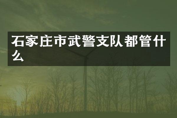 石家庄市武警支队都管什么
