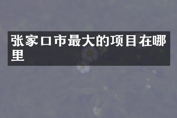 张家口市最大的项目在哪里