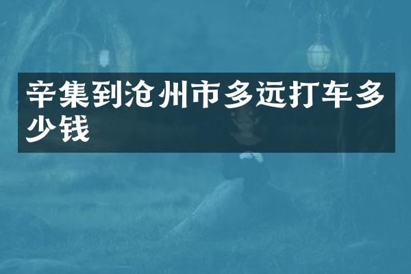 辛集到沧州市多远打车多少钱