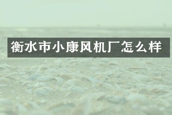 衡水市小康风机厂怎么样