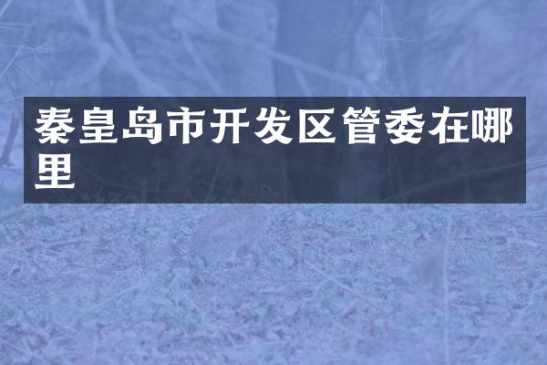秦皇岛市开发区管委在哪里
