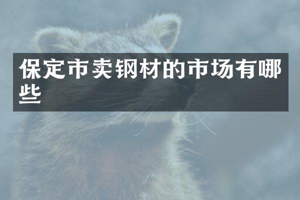 保定市卖钢材的市场有哪些