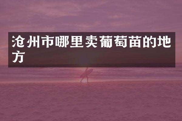 沧州市哪里卖葡萄苗的地方