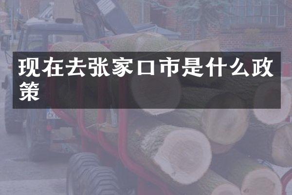 现在去张家口市是什么政策