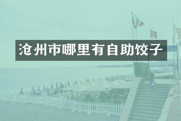 沧州市哪里有自助饺子