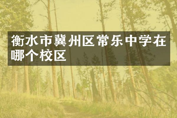 衡水市冀州区常乐中学在哪个校区