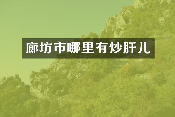 廊坊市哪里有炒肝儿