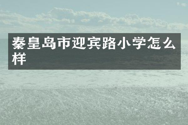 秦皇岛市迎宾路小学怎么样
