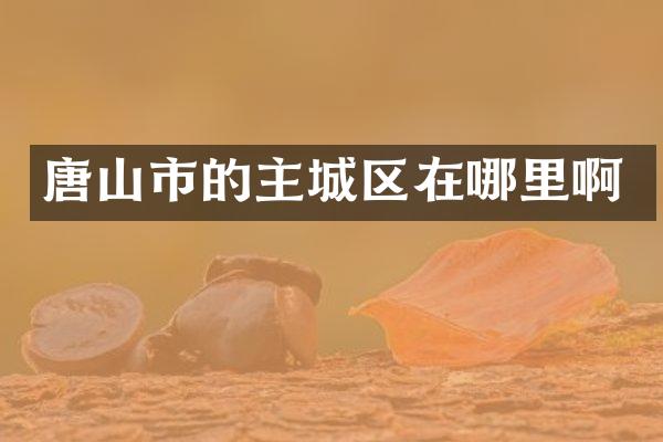 唐山市的主城区在哪里啊