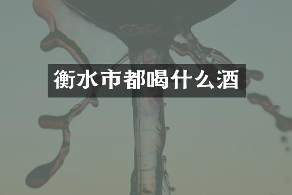 衡水市都喝什么酒