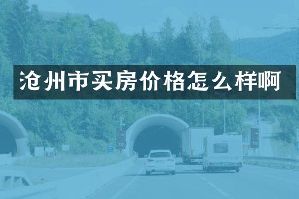 沧州市买房价格怎么样啊
