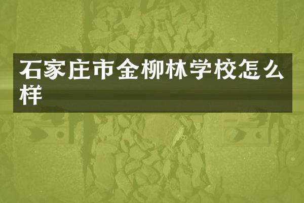 石家庄市金柳林学校怎么样