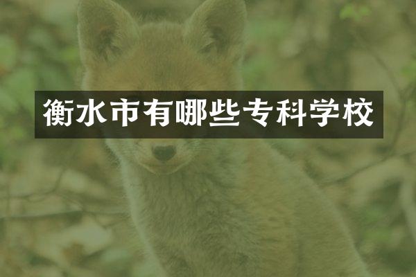 衡水市有哪些专科学校