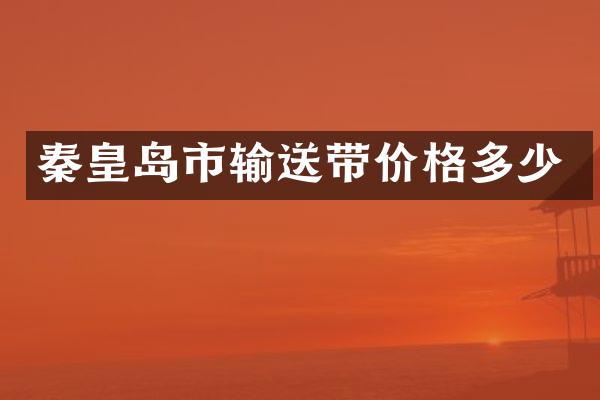 秦皇岛市输送带价格多少
