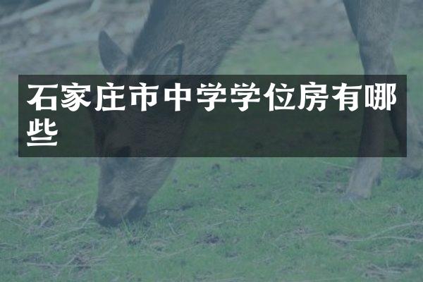 石家庄市中学学位房有哪些