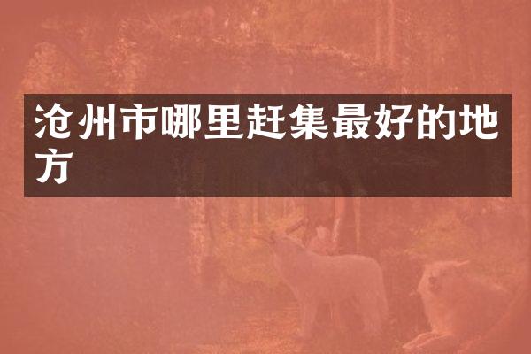 沧州市哪里赶集最好的地方