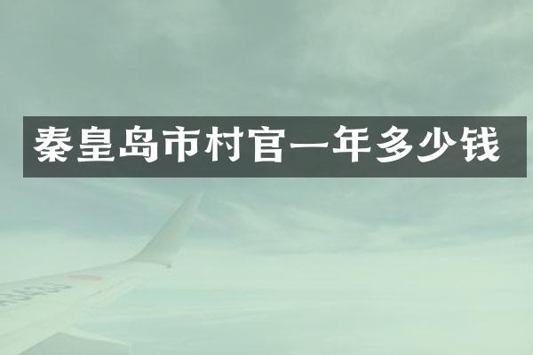 秦皇岛市村官一年多少钱