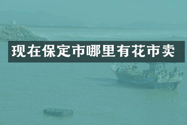 现在保定市哪里有花市卖
