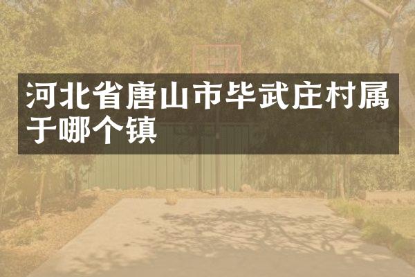 河北省唐山市毕武庄村属于哪个镇