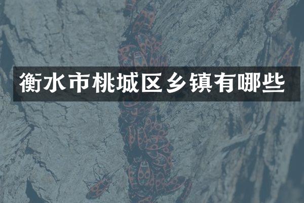 衡水市桃城区乡镇有哪些