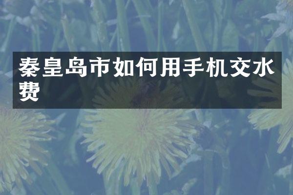 秦皇岛市如何用手机交水费