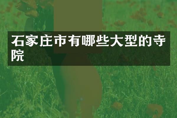 石家庄市有哪些大型的寺院