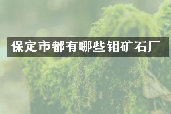 保定市都有哪些钼矿石厂