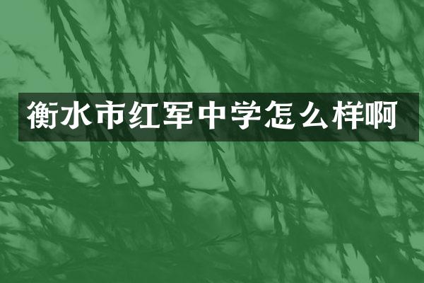 衡水市红军中学怎么样啊