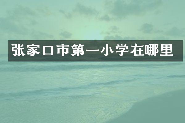张家口市第一小学在哪里