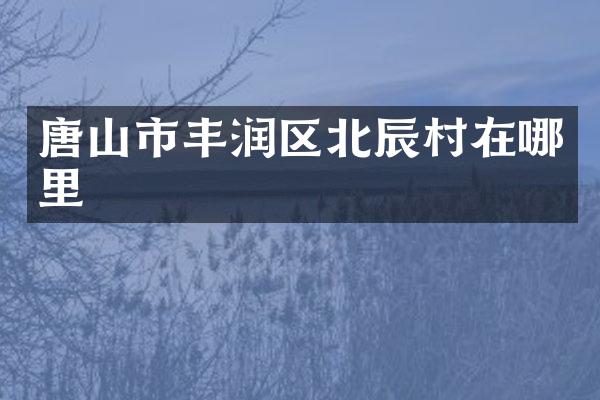 唐山市丰润区北辰村在哪里