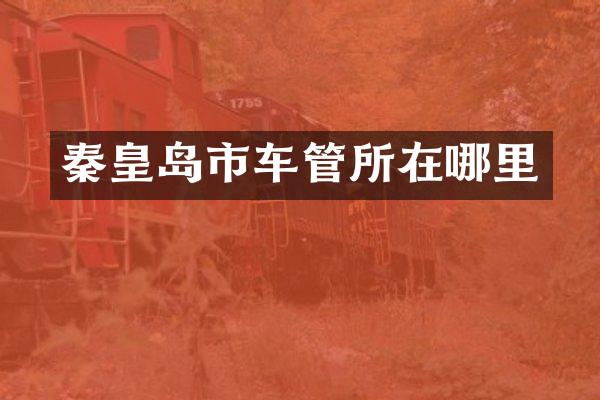 秦皇岛市车管所在哪里