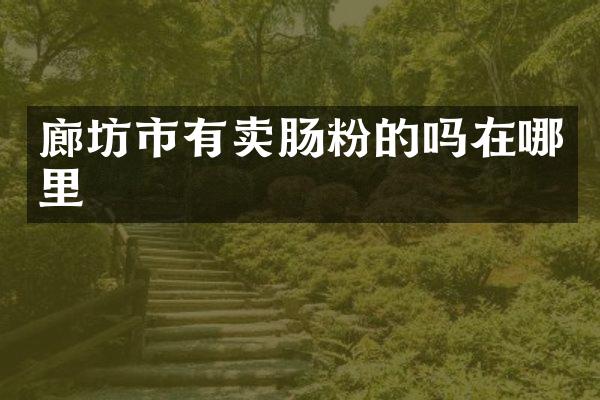 廊坊市有卖肠粉的吗在哪里