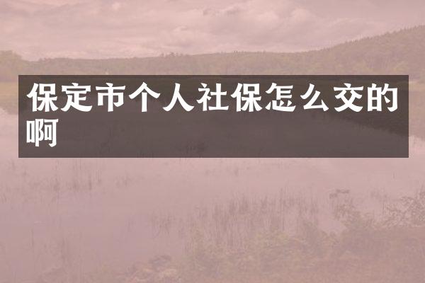 保定市个人社保怎么交的啊