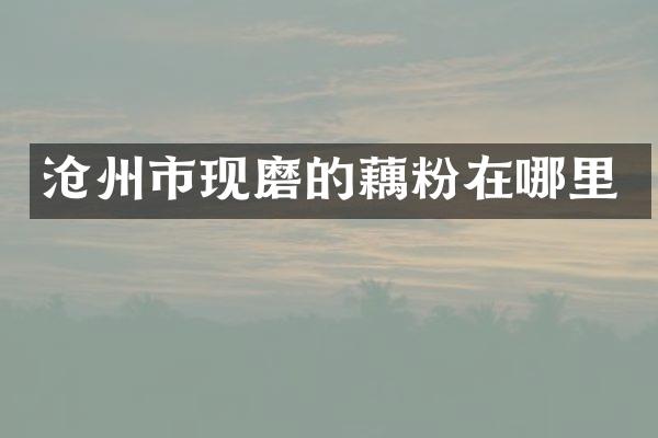 沧州市现磨的藕粉在哪里