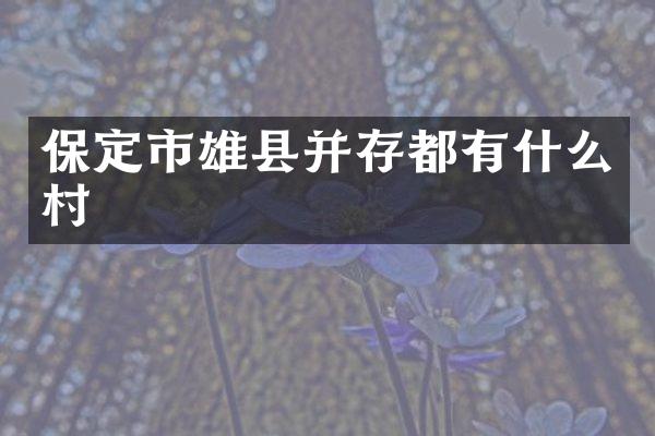 保定市雄县并存都有什么村