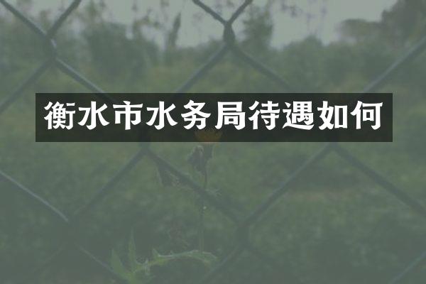 衡水市水务局待遇如何