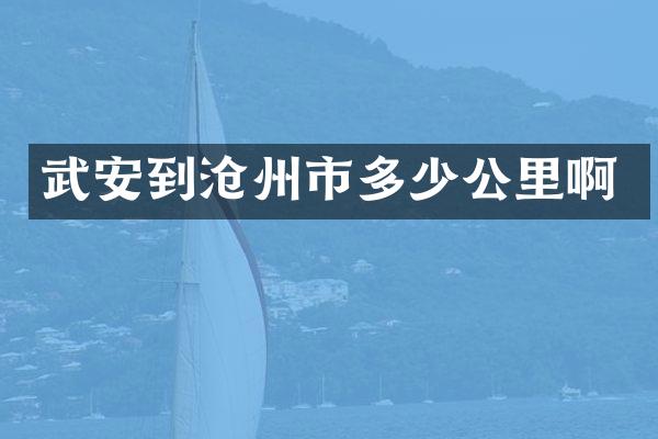 武安到沧州市多少公里啊