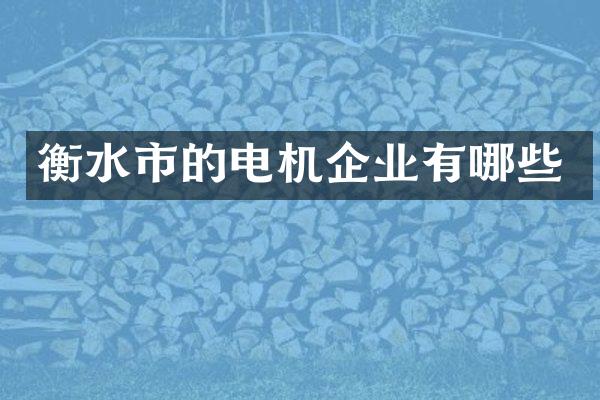 衡水市的电机企业有哪些