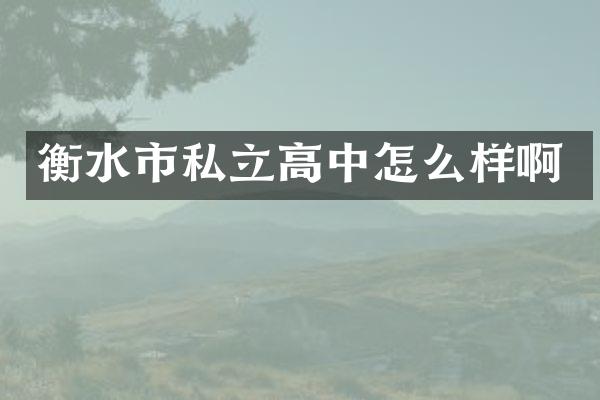 衡水市私立高中怎么样啊
