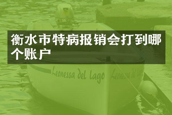 衡水市特病报销会打到哪个账户