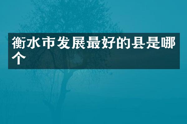 衡水市发展最好的县是哪个