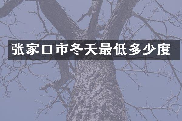 张家口市冬天最低多少度