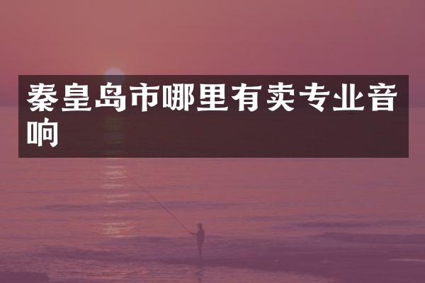 秦皇岛市哪里有卖专业音响