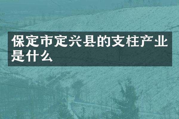 保定市定兴县的支柱产业是什么