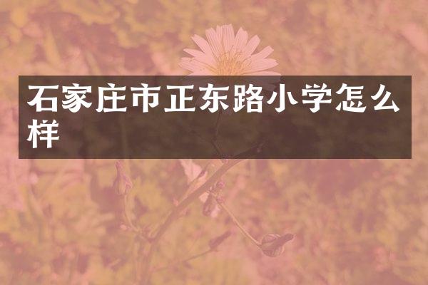 石家庄市正东路小学怎么样