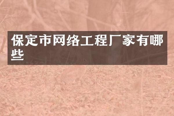 保定市网络工程厂家有哪些