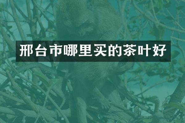 邢台市哪里买的茶叶好
