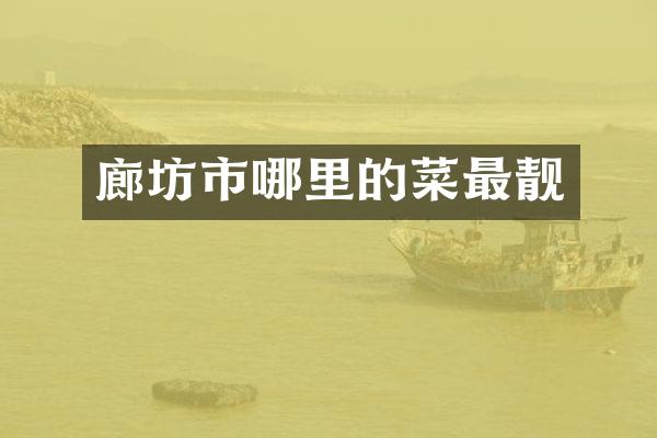 廊坊市哪里的菜最靓