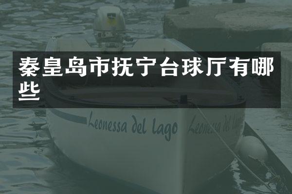 秦皇岛市抚宁台球厅有哪些